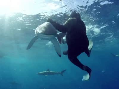 《鲨鱼周》第六期 猎捕巨兽鲨上演终极对决