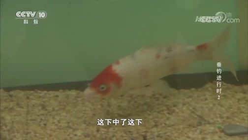 我爱发明 《我爱发明》 20181230 垂钓进行时2