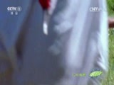 人与自然 《人与自然》 20150512 自然故事：回家之旅（上）