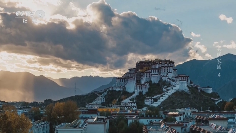 《共同家园》 第4集 守护