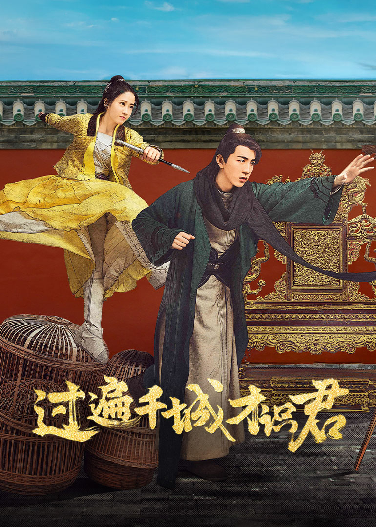 过遍千城才识君 海报