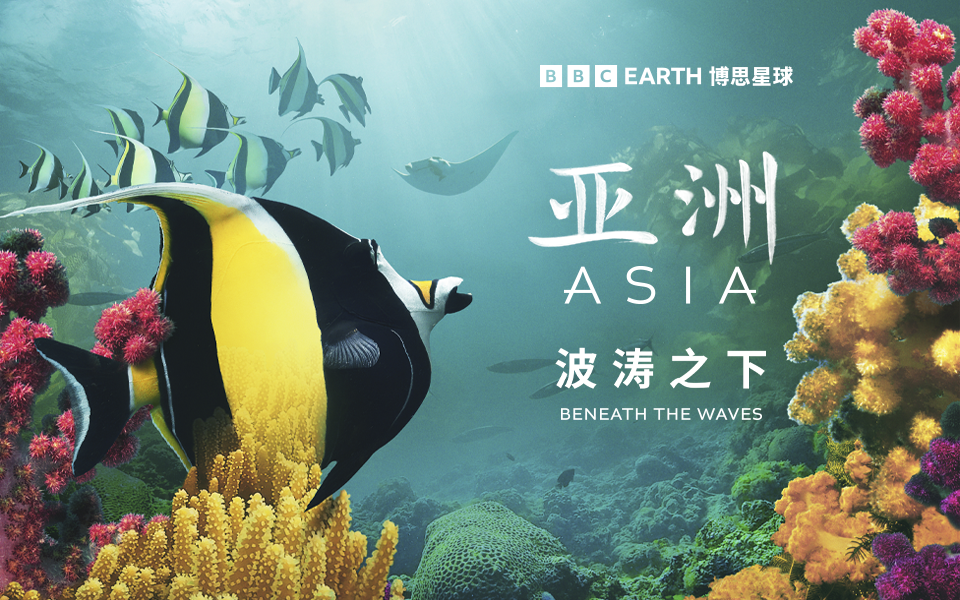 亚洲 波涛之下