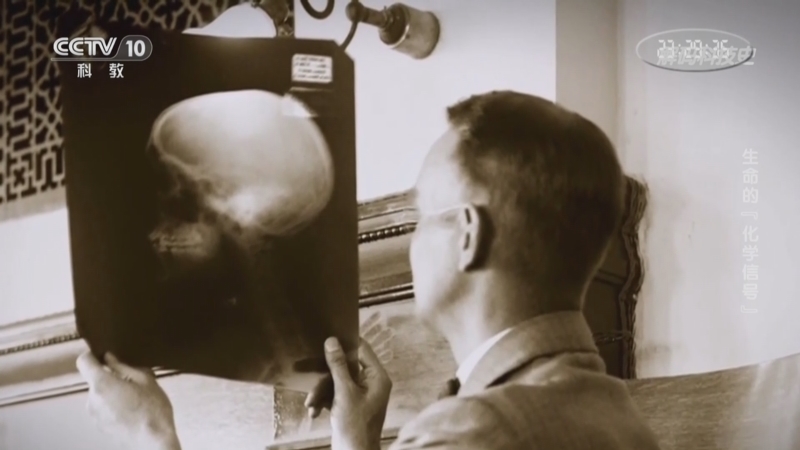 《解码科技史》 20251217 生命的“化学信号”