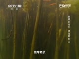 地理中国 《地理中国》 20150717 新疆好地方·博湖魅影（中）
