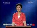 百家讲坛 金戈铁马辛弃疾（二）政坛新星