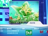 大王小王 《大王小王》 20150311 我把“洋妞儿”娶回家