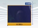 天网 《天网》 20170622 夜行蒙面人
