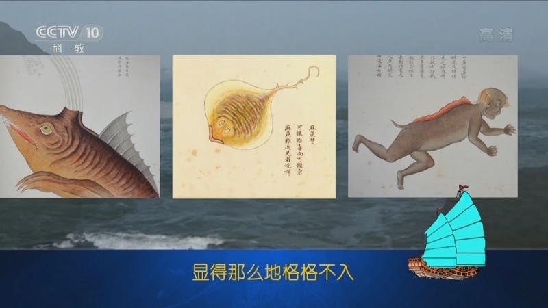 百家讲坛 《百家讲坛》 20221108 乘风破浪五千年 25 《海错图》之谜