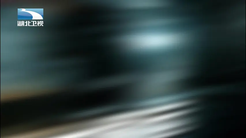 《黄金大偷运》第2集