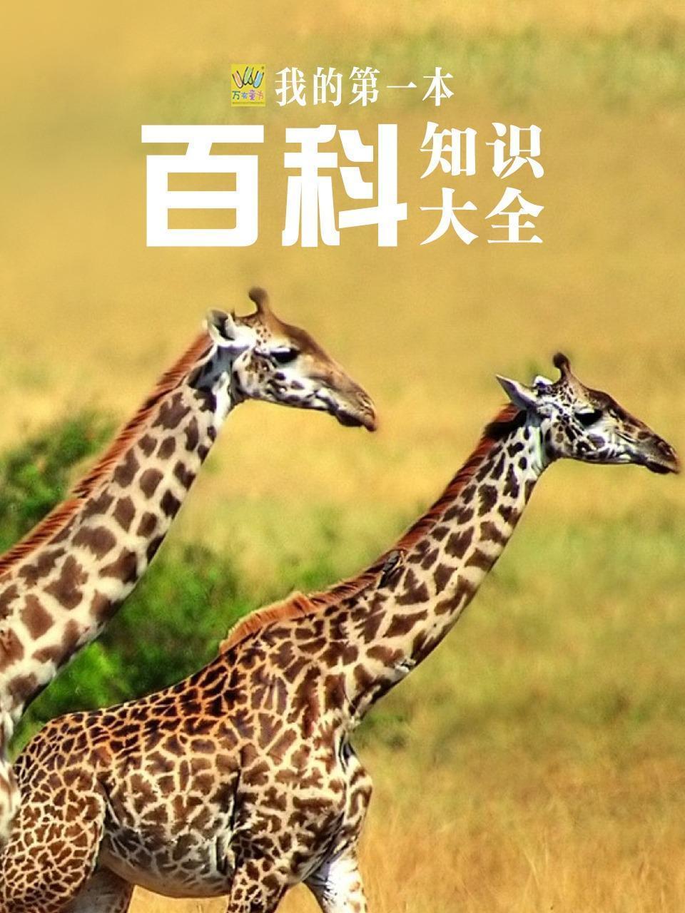 我的第一本百科知识大全