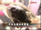 生财有道 《生财有道》整期视频 20110730