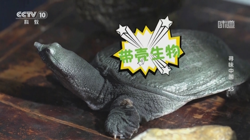 味道 《味道》 20251020 寻味中国（35）