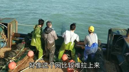 南澳岛赶海日记 渔民捕到价值3千多元大海螺，船长一高兴，把上千元的鳗鱼给煮了