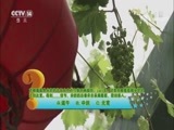芝麻开门【央视】 《芝麻开门》 20180707 挑战大现场 走进宋庆龄故居