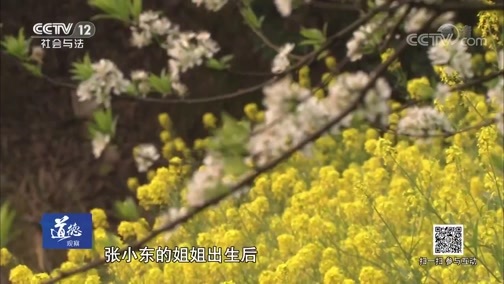 道德观察 《道德观察(日播版)》 20190506 17年的恩怨（上）