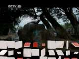 地理中国 渠中窥秘 地理中国 20110519