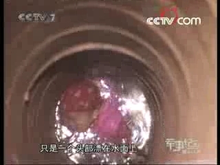 军事纪实 深井大营救