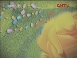 第1动画乐园 《第1动画乐园（上午版）》 20120206