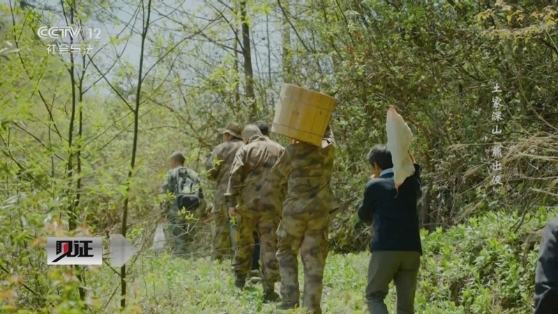 《见证》 20251207 土家深山“熊出没”