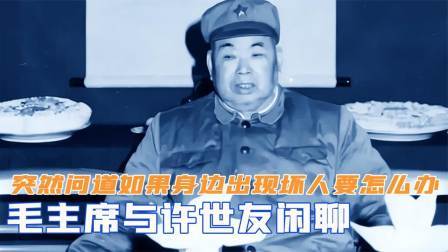 战史分析 毛主席与许世友闲聊，突然问道：如果身边出现坏人要怎么办