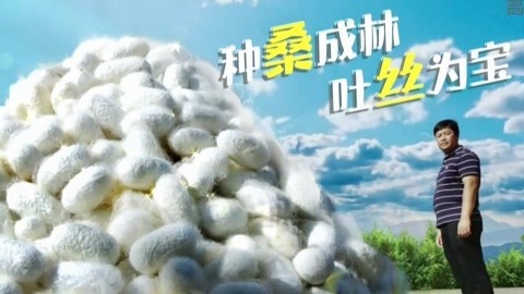 与梦想合拍 如果你觉得赚钱难 就看看他们吧