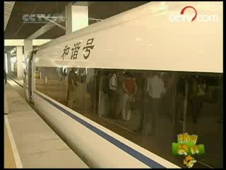 新闻袋袋裤 新闻袋袋裤 2008年 第177期
