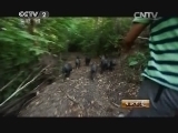 生财有道 《生财有道》 20150310 天湖沟的养殖妙招