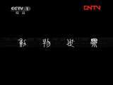 动物世界 《动物世界》 20111108