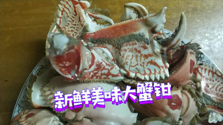 南澳岛赶海日记 这么奇怪的蟹钳你知道是什么蟹吗？一斤几块钱而已，不比面包蟹差