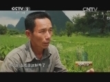 消费主张 《消费主张》 20140826 山水田园觅花竹