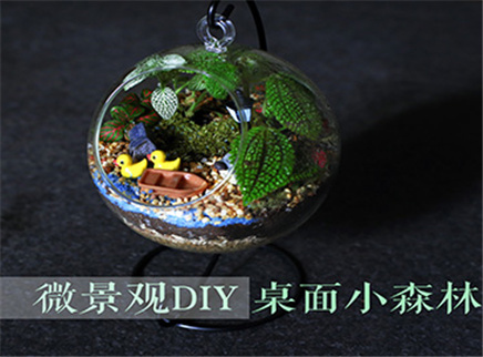 DIY桌面小森林 净化空气还解压