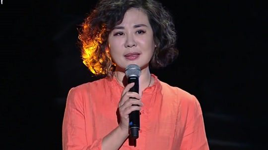 群英会 印象·家——丛珊