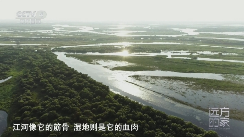 远方的家 《远方的家》 20260527 中国自然秘境 山川奇境 绿野寻踪