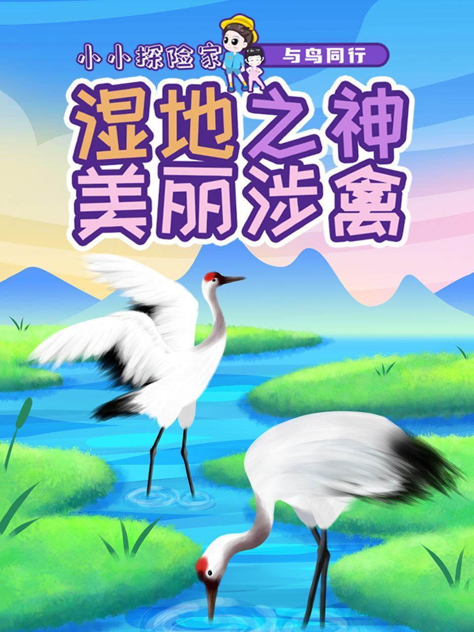 与鸟同行：湿地之神美丽涉禽