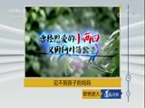 道德观察 《道德观察（日播版）》 20180527 见不到孩子的妈妈