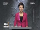 法律讲堂 《法律讲堂（生活版）》 20151025 女秘书复仇反被害