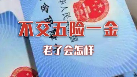 不交五险一金，老了会怎样？