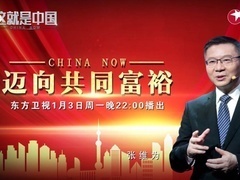 这就是中国 迈向共同富裕