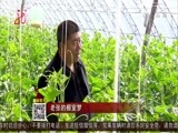 全省新闻联播 《全省新闻联播》 20170402