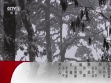 动物世界 《动物世界》 20180307 野性的魅力（二）