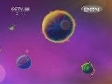 智慧树 《智慧树》 20120723