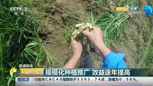 中国财经报道 《中国财经报道》 20180920 11:00