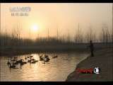 生财有道 生财有道 2010-12-21