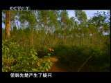 日出琼崖 5 决战决胜