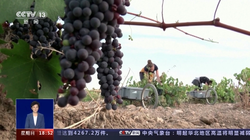 共同关注 《共同关注》 20230618