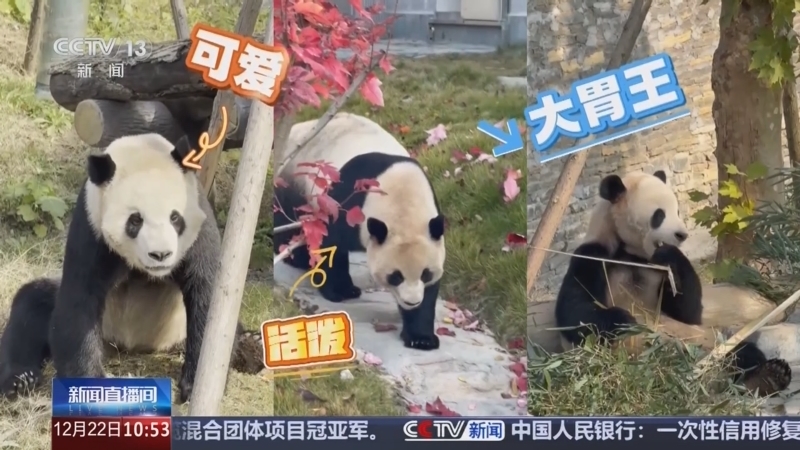新闻直播间 《新闻直播间》 20251222 10:00