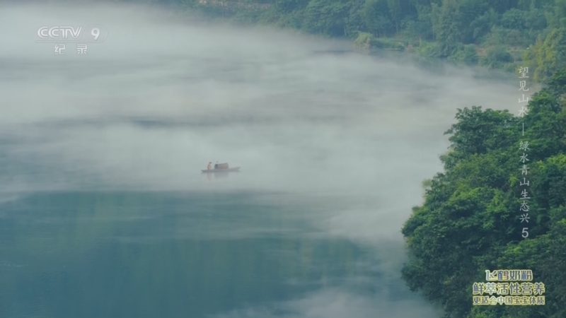 望见山水&mdash;&mdash;绿水青山生态兴 《望见山水——绿水青山生态兴》 第5集 泽