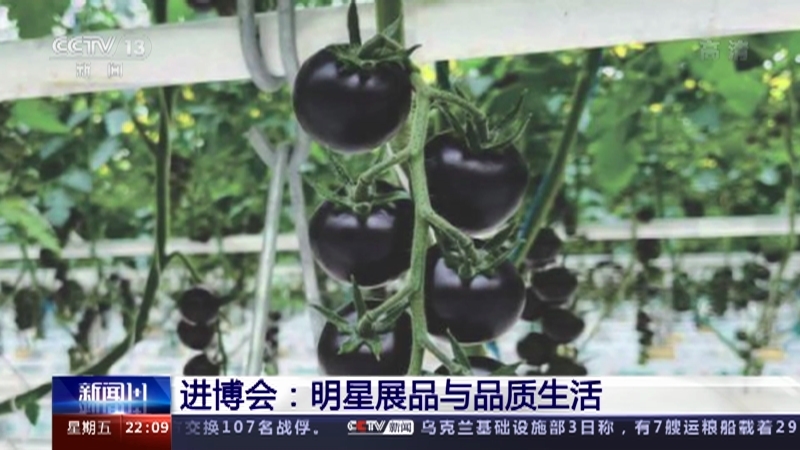 新闻1+1 《新闻1+1》 20221104 进博会：明星展品与品质生活