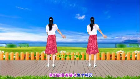 流行DJ广场舞及教学 第三季 优美广场舞《有缘再相见》64步，背面演示分解