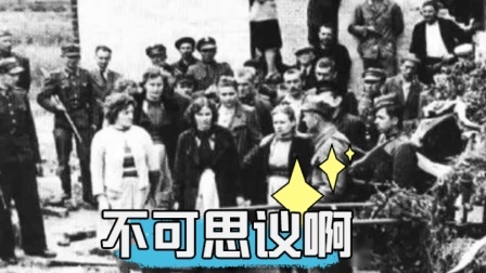 史记文学社第三季 斯图特霍夫集中营中反人类的处决